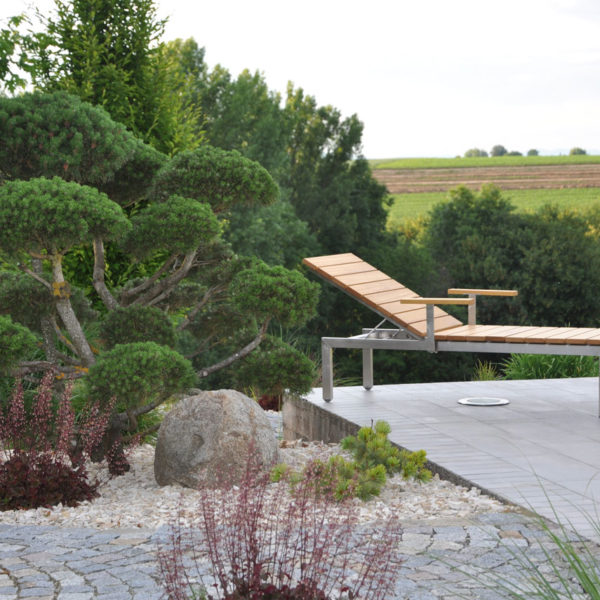 Bonsai bei Liegefläche