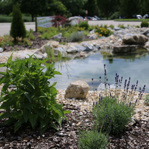 Außenanlage mit Naturteich