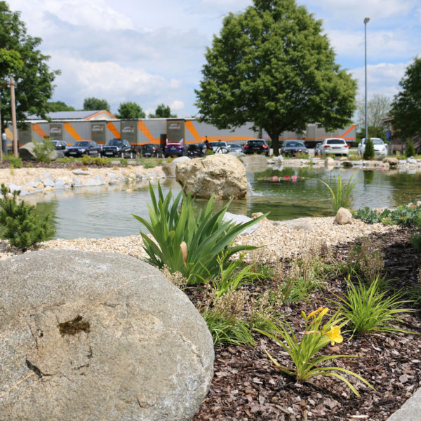 Naturteich bei Spedition Niedermaier