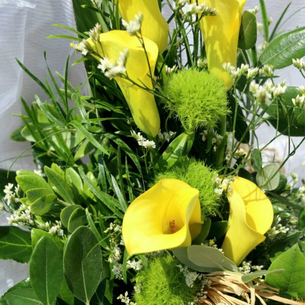 Floristik Calla