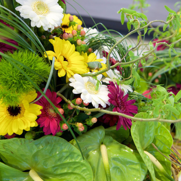 BLUMEN