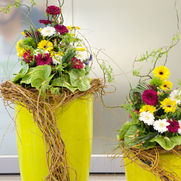 BLUMEN