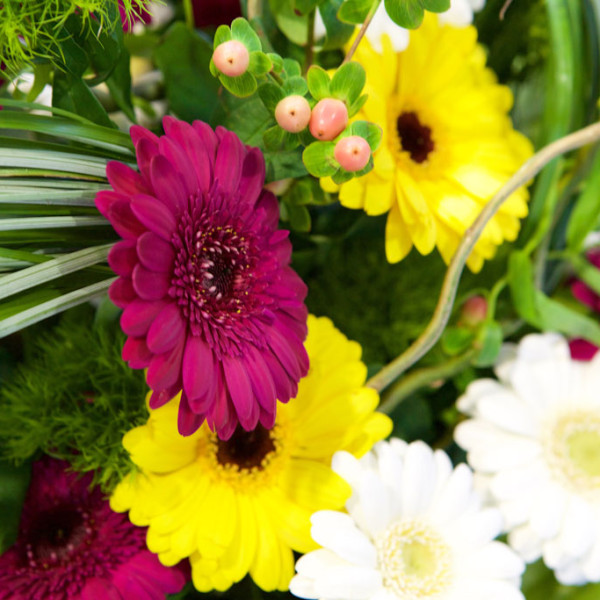 BLUMEN