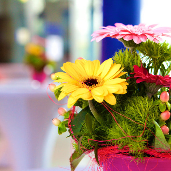 BLUMEN