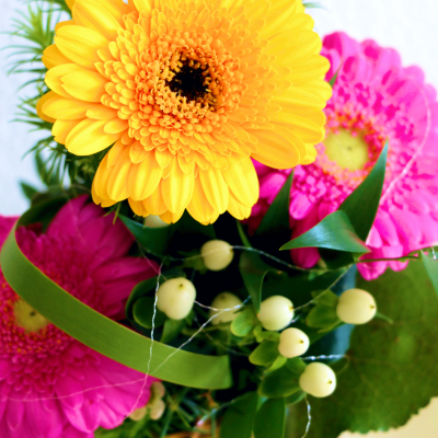 BLUMEN