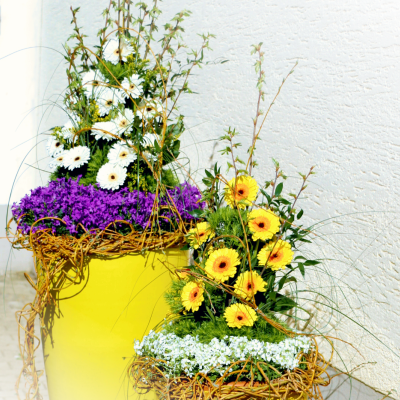 BLUMEN