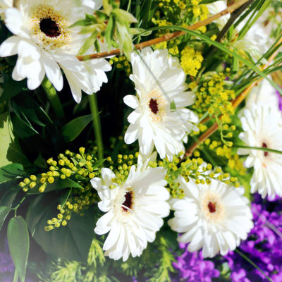BLUMEN