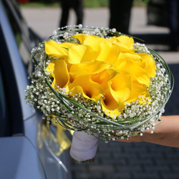 BLUMEN