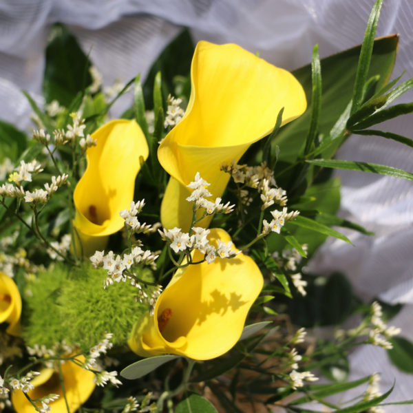 BLUMEN