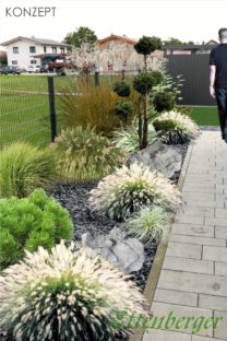 Vorgarten mit Schieferplättchen, immergrünen Gehölzen und Gräsern